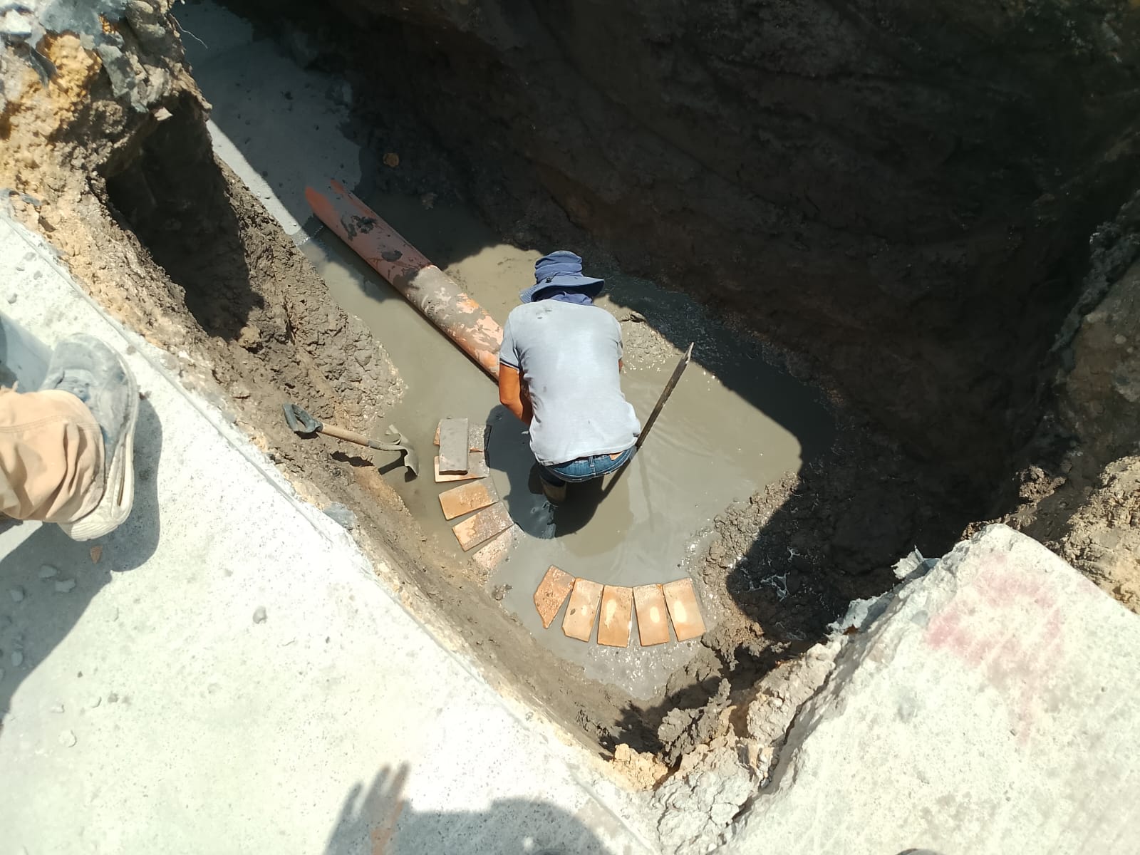 Imagen de la obra
